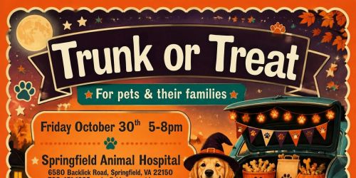 Springfield Animal Hospital Howl-o-ween Trunk or Treat