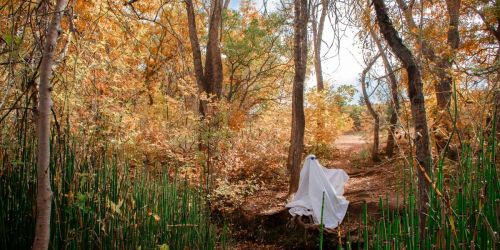 Creepy Colorado History