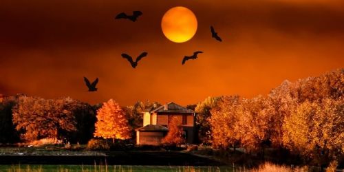 Halloween on the Farm