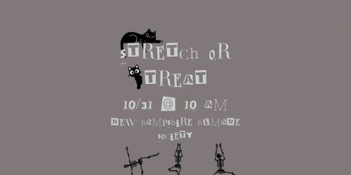 Stretch or Treat