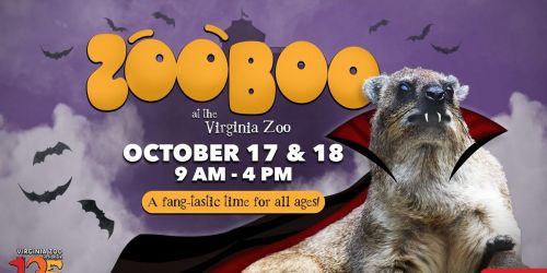 ZooBoo