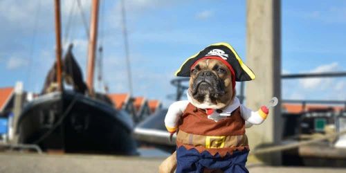 Walnut Beach Halloween Pet Costume Parade