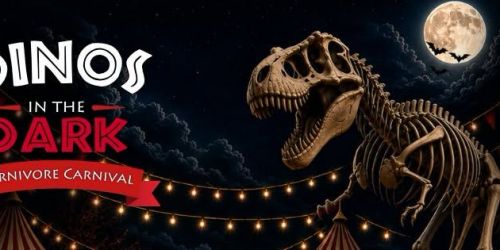 Dinos in the Dark Week 1