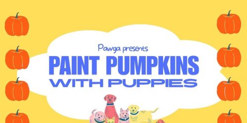 Pawga's Paint Pumpkins with Puppies