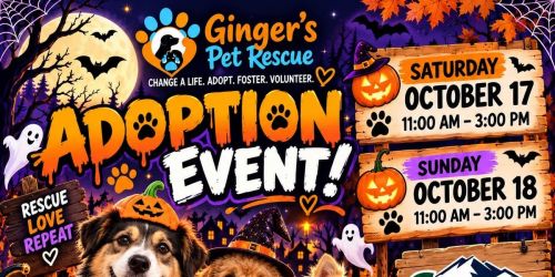 Halloween Adoption event 
