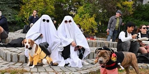 Halloween Harvest Festival