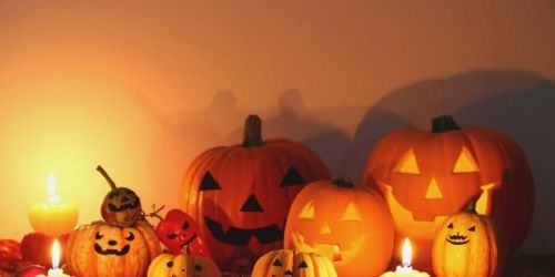 \ud83c\udf83Halloween Spooktacular \ud83c\udf83
