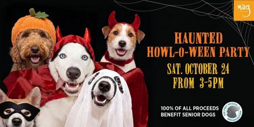 Haunted Howl-o-ween Party for Dogs at Wag Hotels West Sacramento
